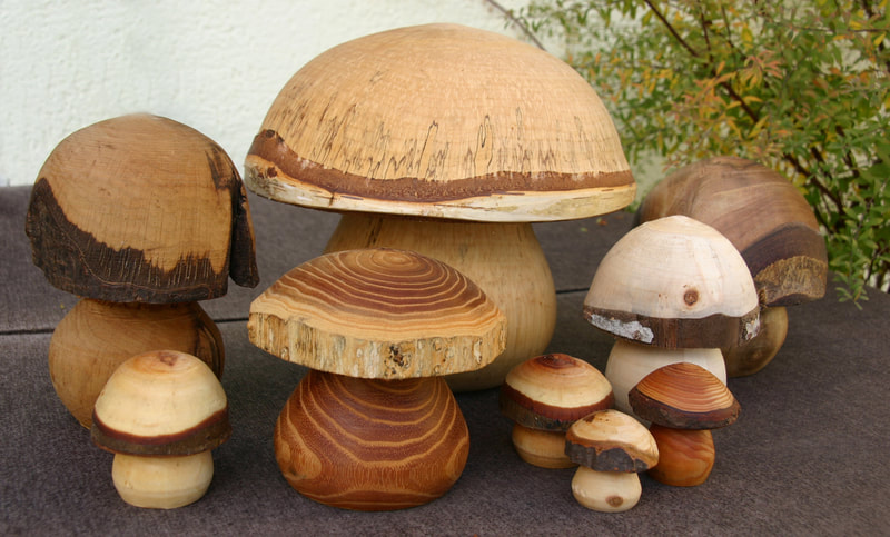 Woodturning class for adults in south Dublin